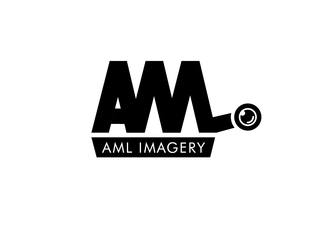 Logo Design by dinug.312 for this project | Design #21793148