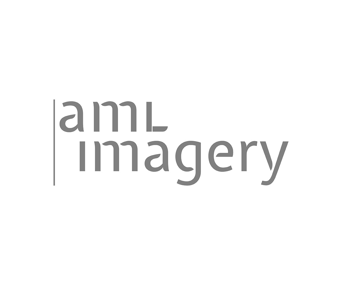 Design de Logo par Cyberbrush pour ce projet | Design #21831869