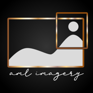 Logo-Design von Dhyanesh_Dave für dieses Projekt | Design #21837341