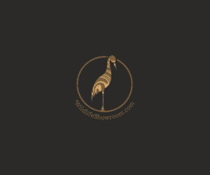 Logo Design by chameerakasundb for this project | Design #21836008