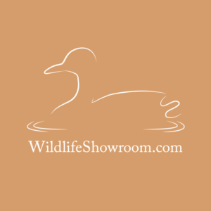 Logo Design by IkerAR