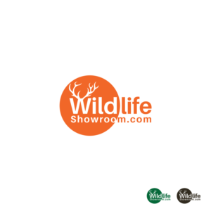 Logo Design by COLOURDAY