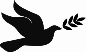 Logo Design by Shamir Khan The Graphics Designer