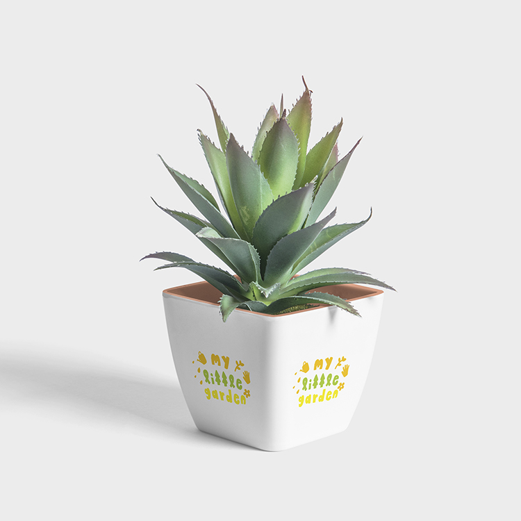 Design de Logo par Ruyin pour ce projet | Design #21829231