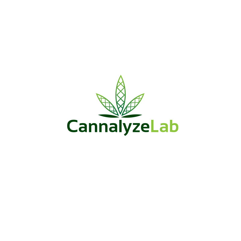 Logo Design by Alchemist for this project | Design #21799709