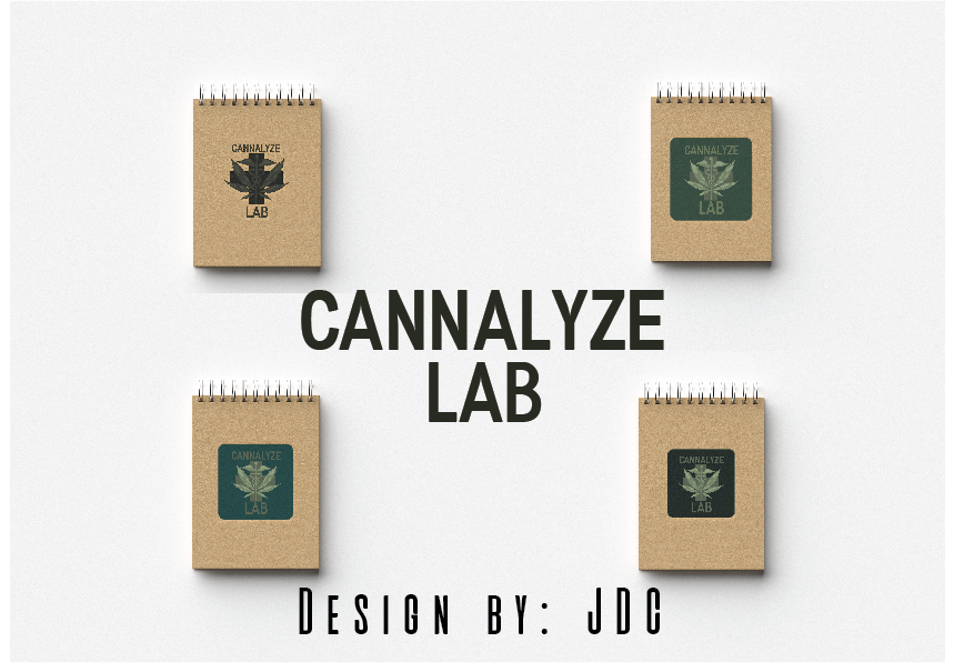 Logo Design by Jón Design company for this project | Design #21821600