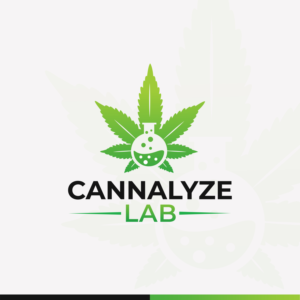 Logo Design by Saymon Studio