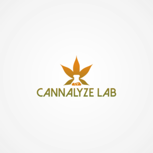 Logo Design by Aamir shahzad 2