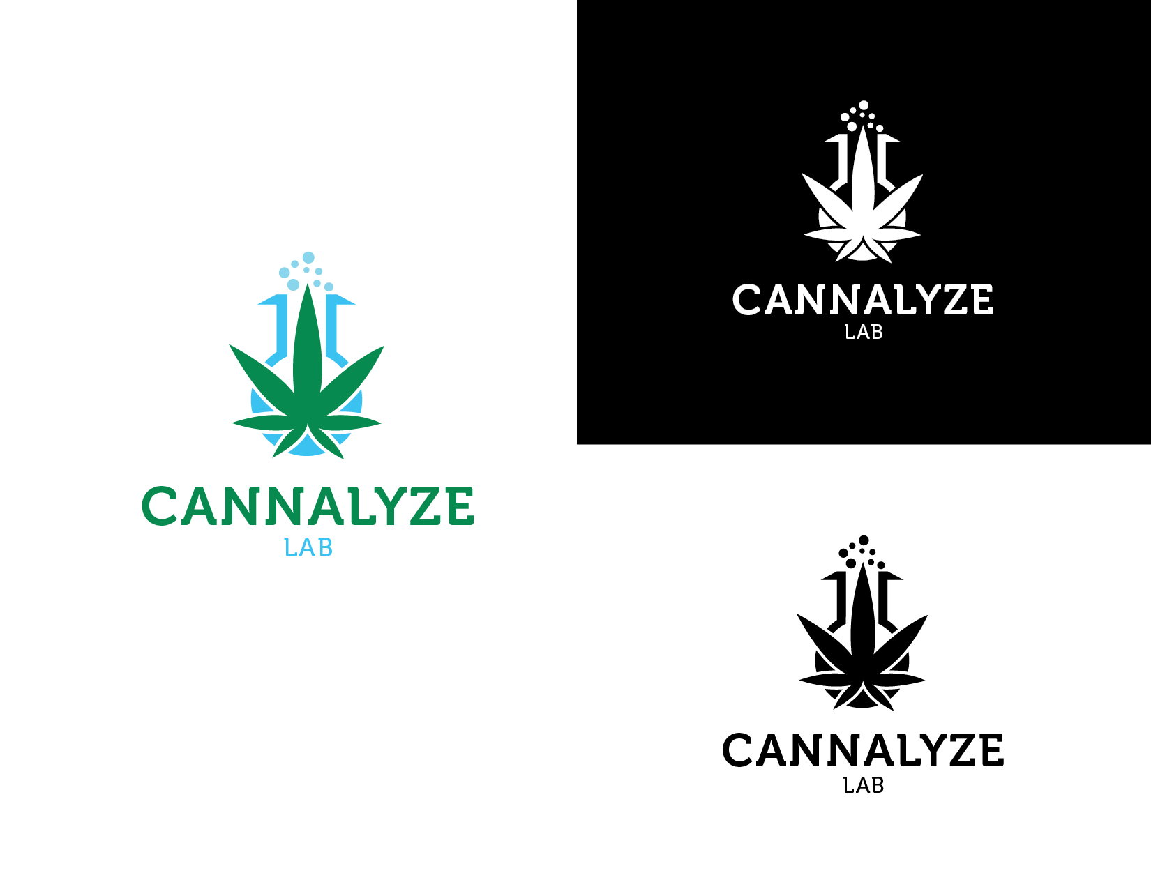 Logo Design by Same 2 for this project | Design #21829792