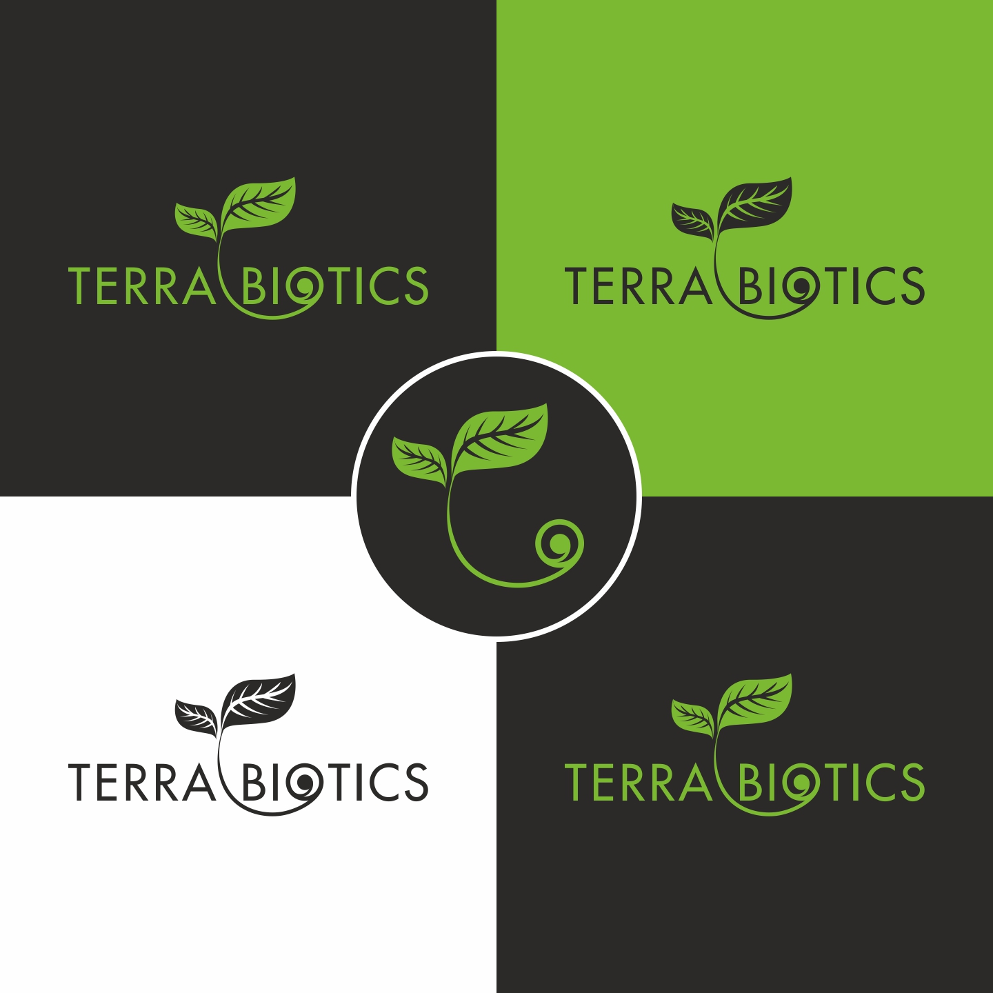 Logo Design by Krishnadas for Parvus Group | Design #21802809