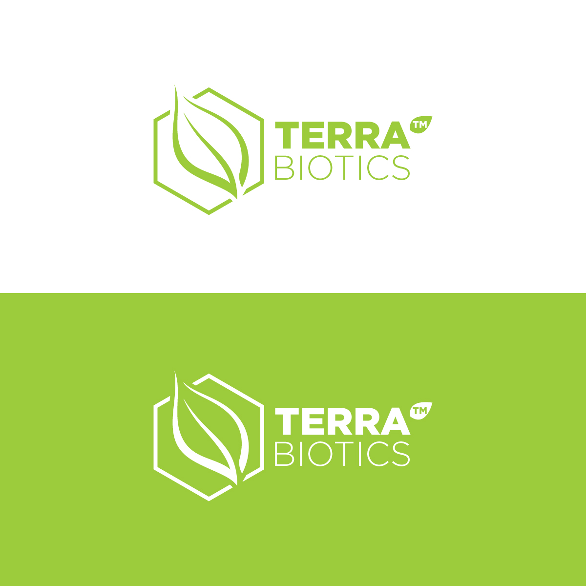 Logo Design by prodesigns99 for Parvus Group | Design #21802896