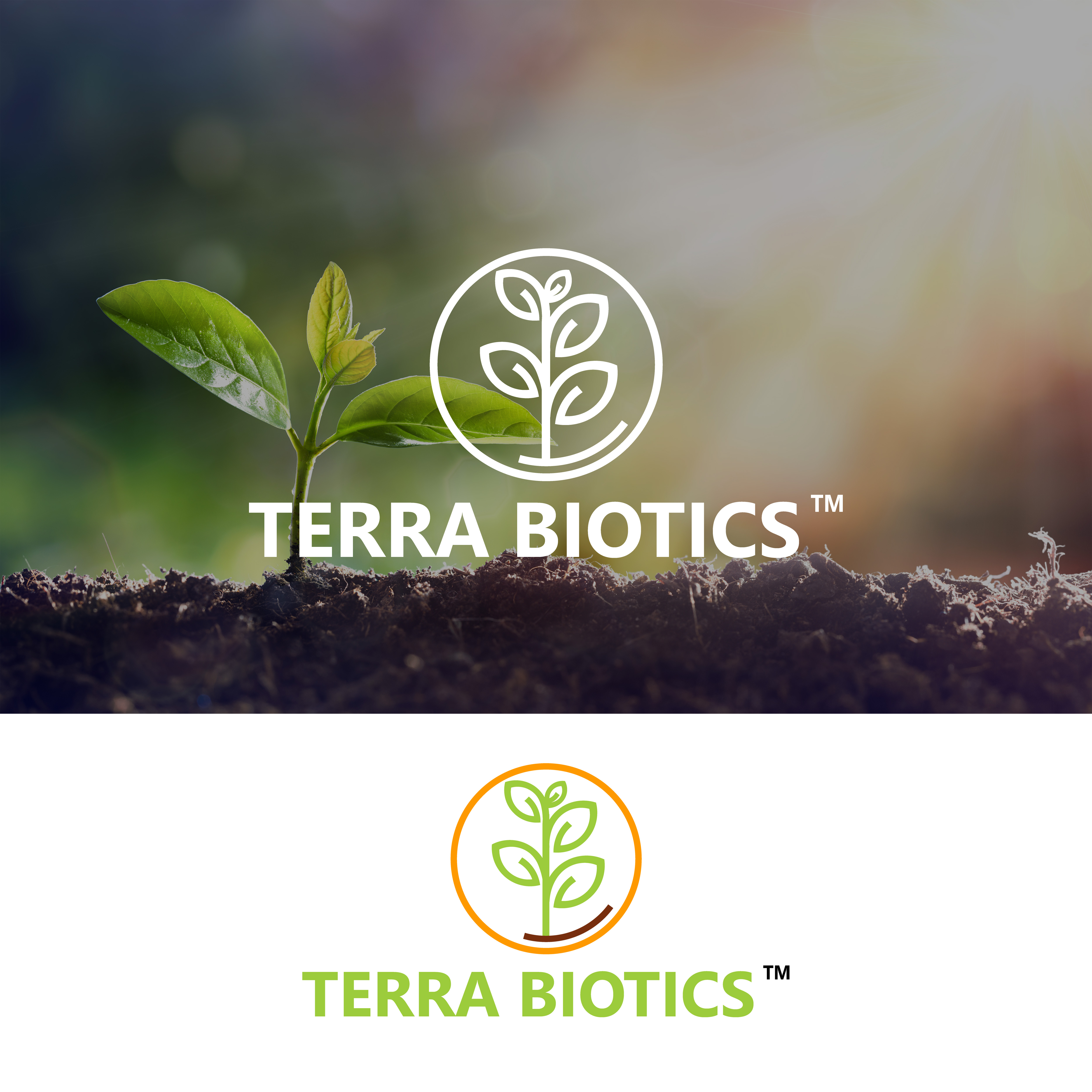 Logo Design by seyaArts for Parvus Group | Design #21805228