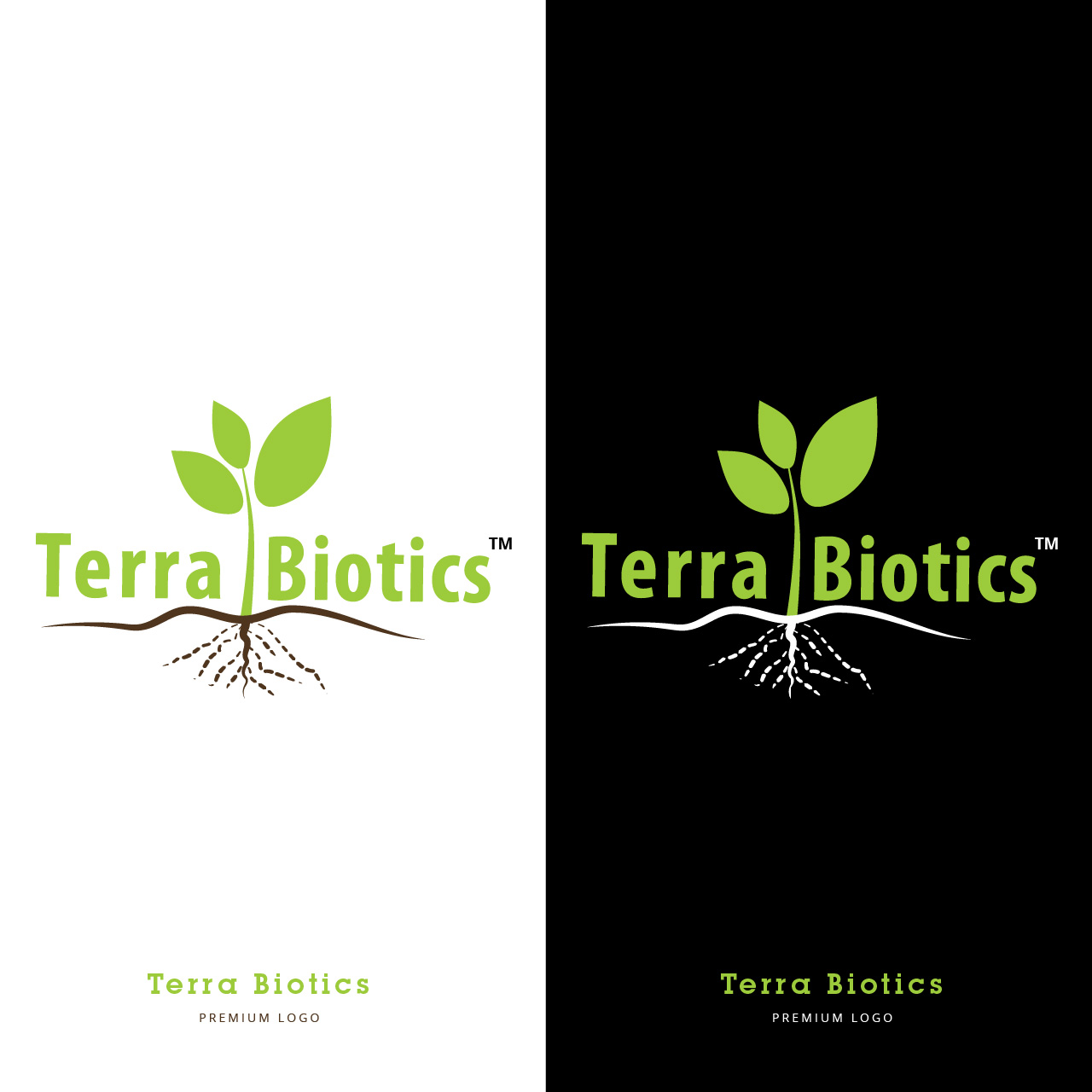 Diseño de Logo por Blvck para Parvus Group | Diseño #21805145