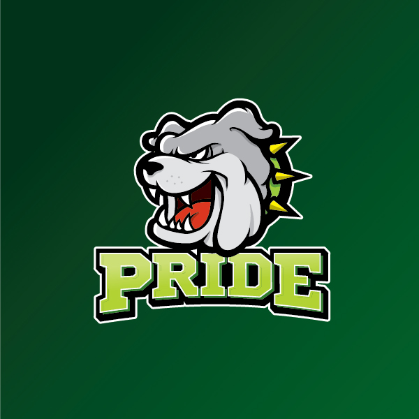 Design de Logo par ElephantGrafix pour Patrol Port  | Design #21844726