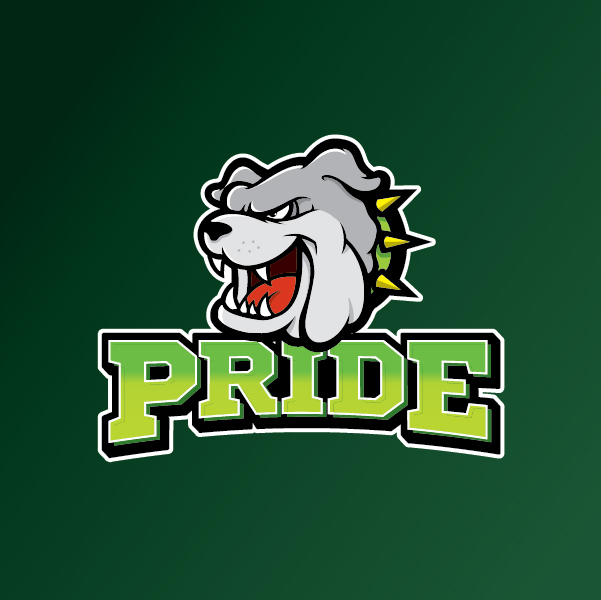 Logo Design by ElephantGrafix for Patrol Port  | Design #21845138
