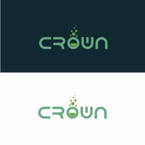 Logo Design by razi meem