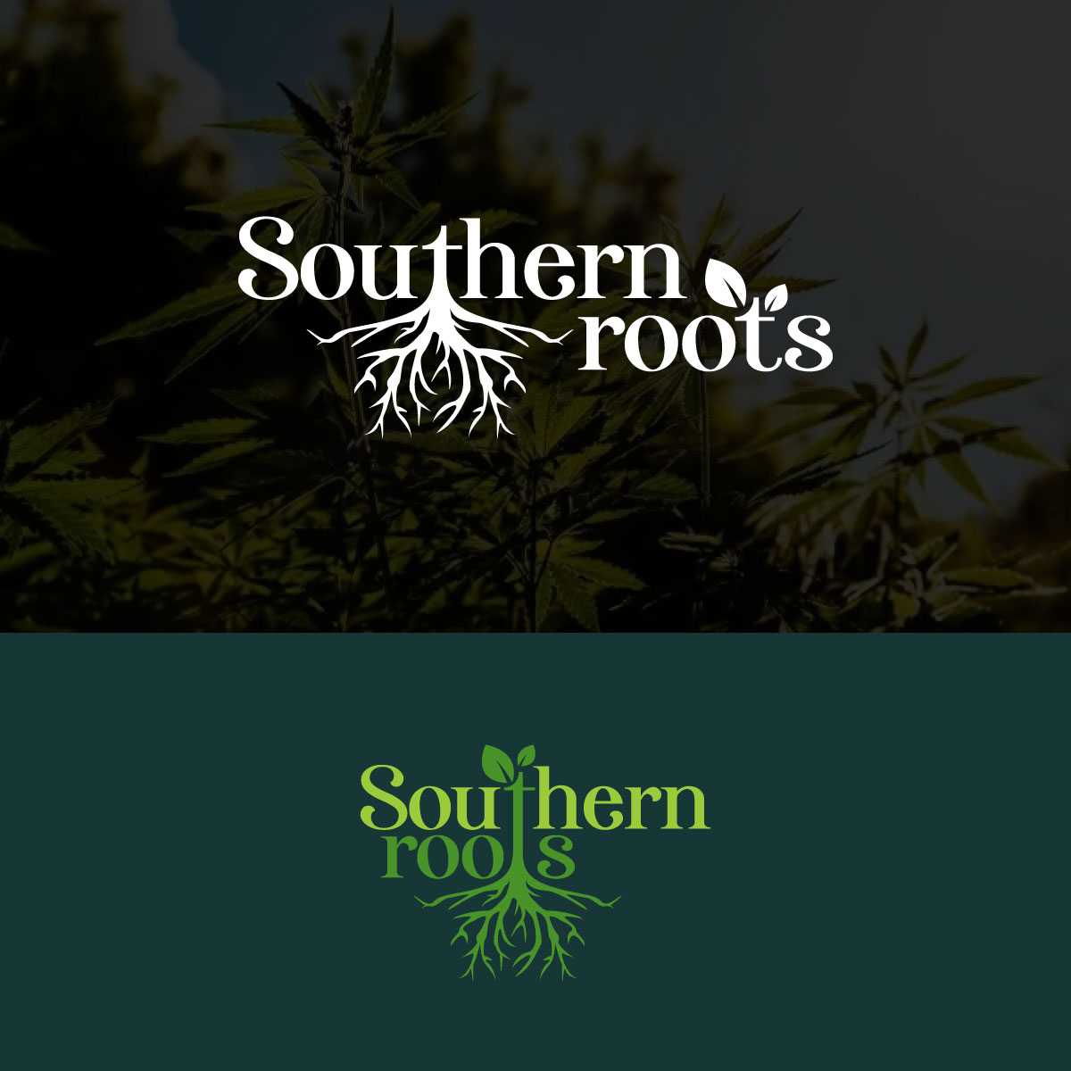 Logo Design by Pop-tart for Southern Roots LLC | Design #21851317