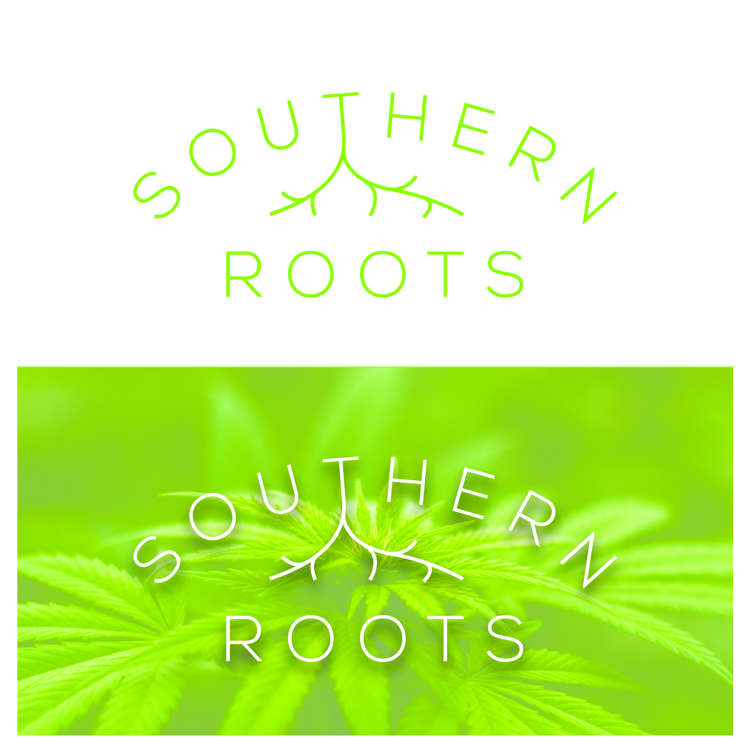 Logo Design by Ty DeLong for Southern Roots LLC | Design #21862361