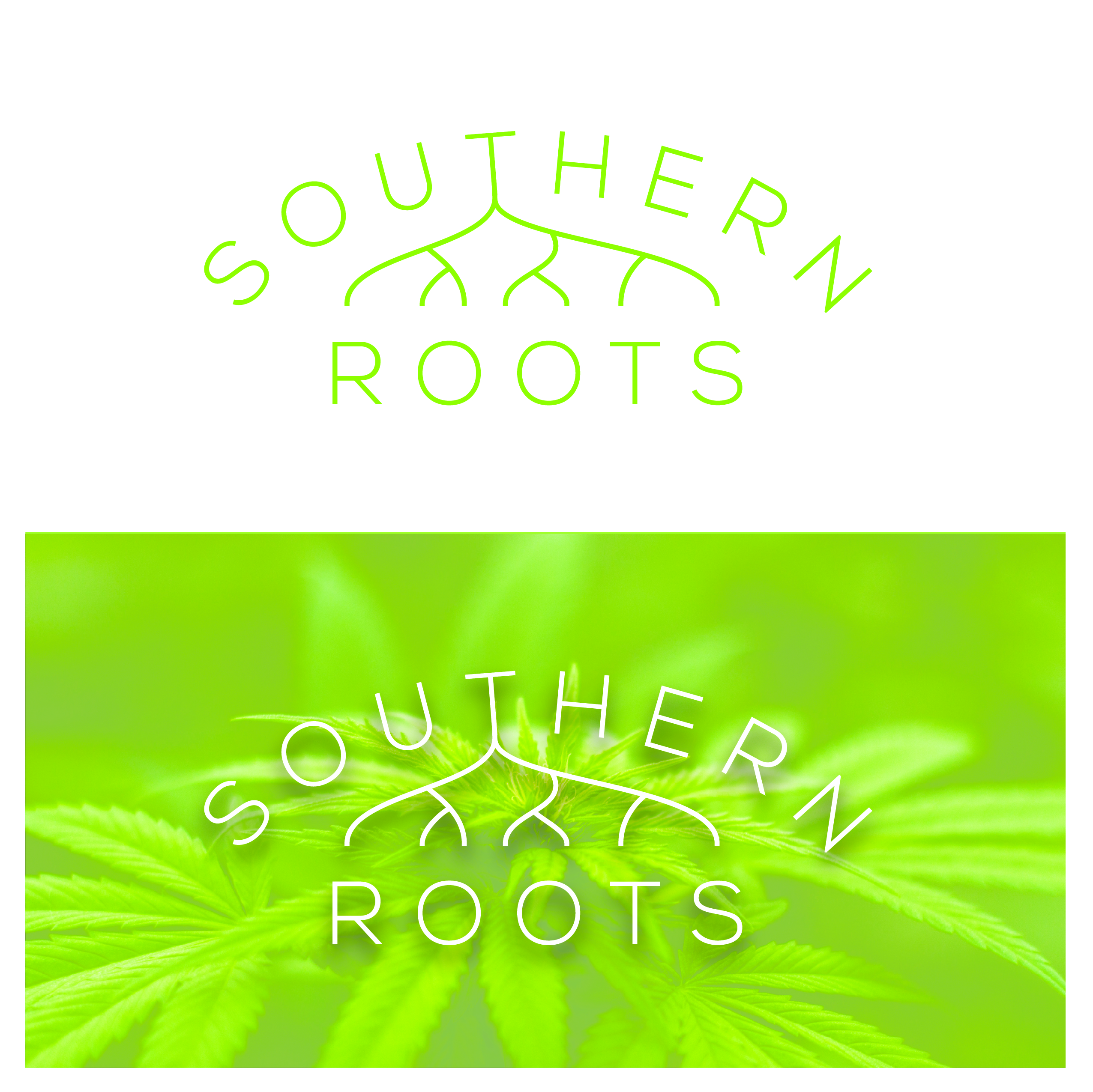 Logo Design by Ty DeLong for Southern Roots LLC | Design #21862362
