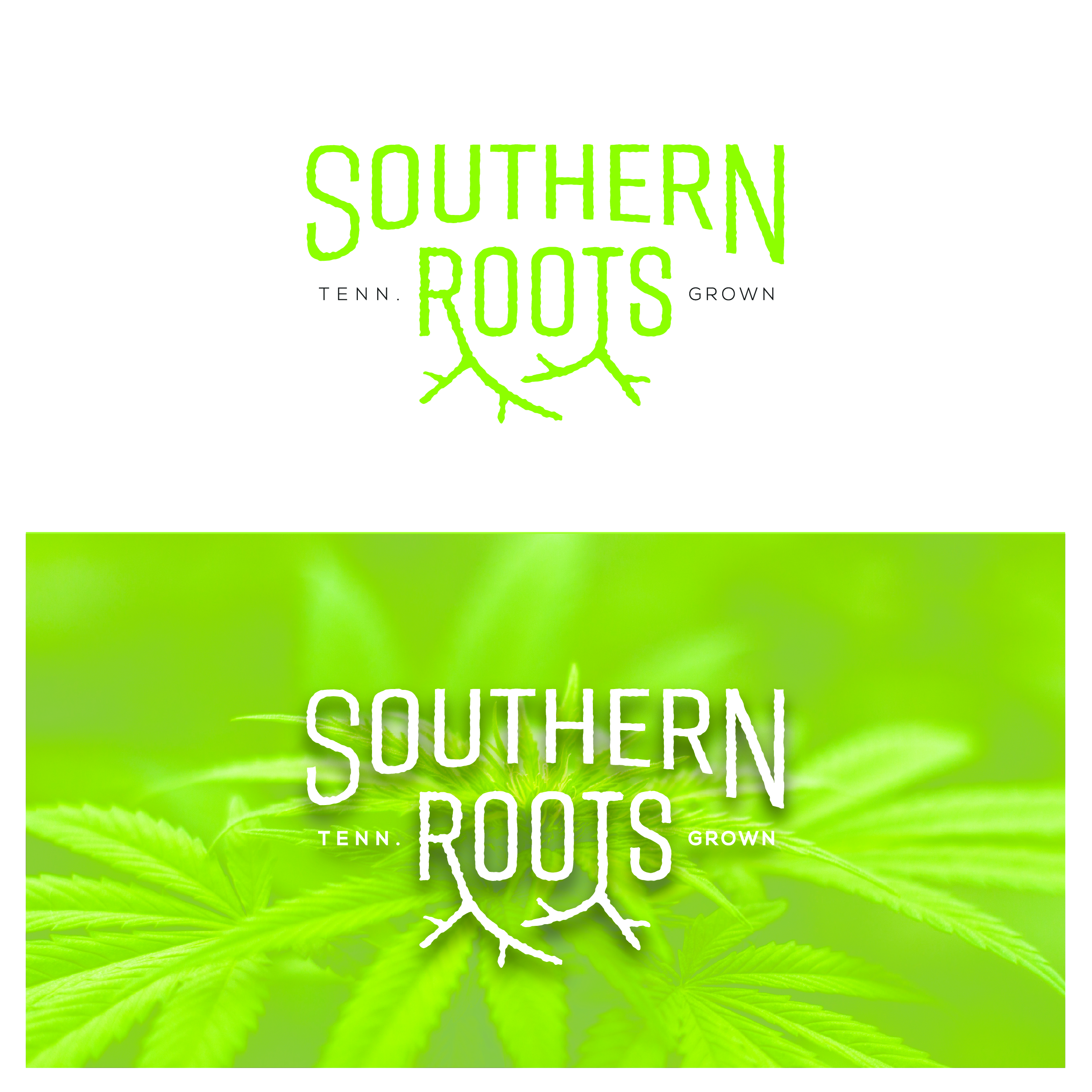 Logo Design by Ty DeLong for Southern Roots LLC | Design #21862363