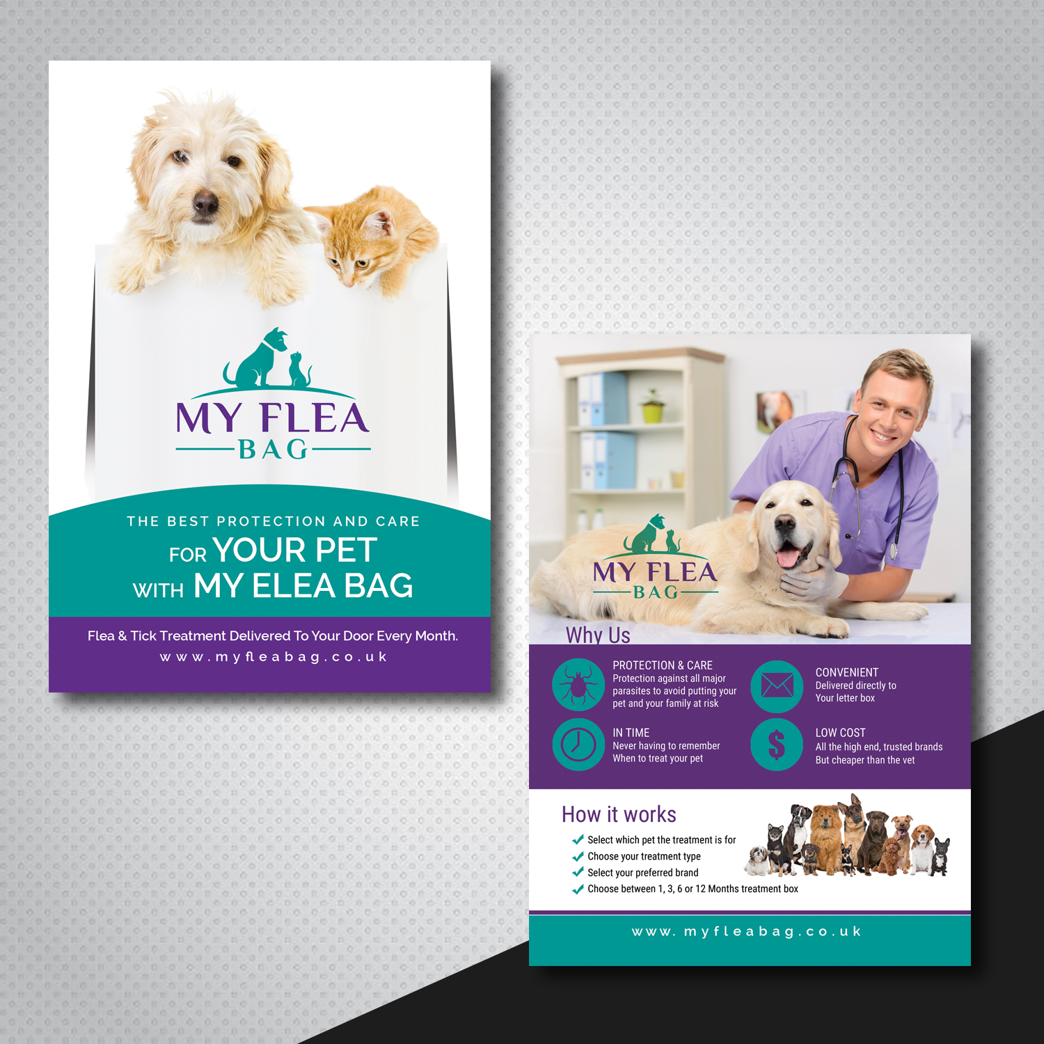 playful-modern-pet-care-flyer-design-for-a-company-by-uk-design