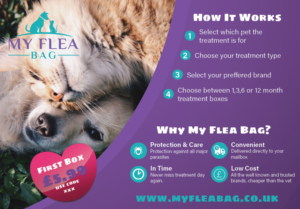Flyer Design by Cass G for this project | Design: #21827101