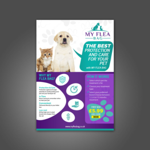 Diseño de Flyer por aspiremedia para este proyecto | Diseño: #21832544