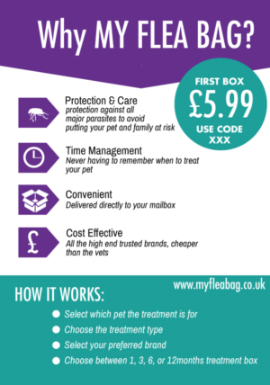 Flyer Design by norzainiamin