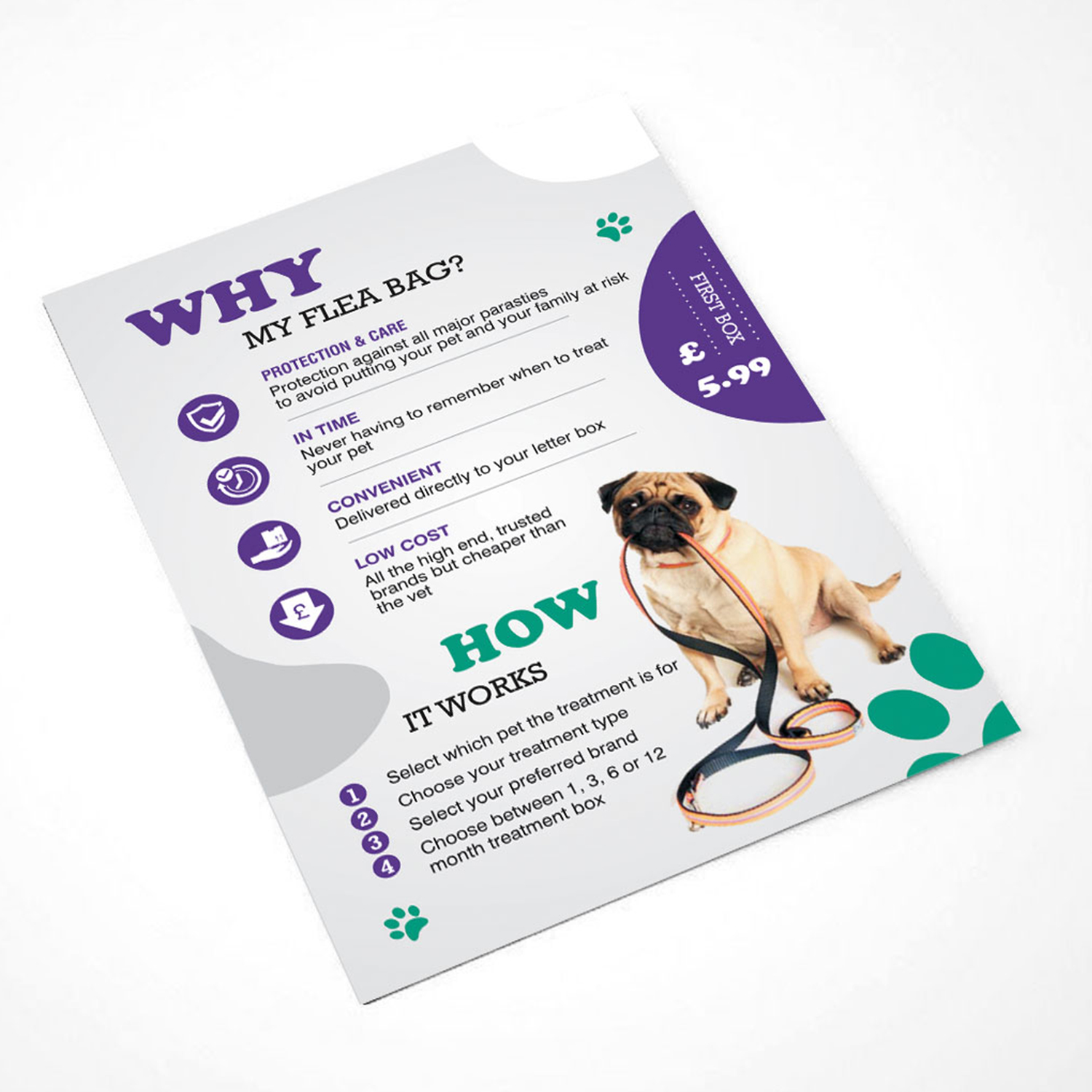 Diseño de Flyer por technotecdesign para este proyecto | Diseño: #21833128