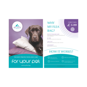 Flyer Design by Ciupei