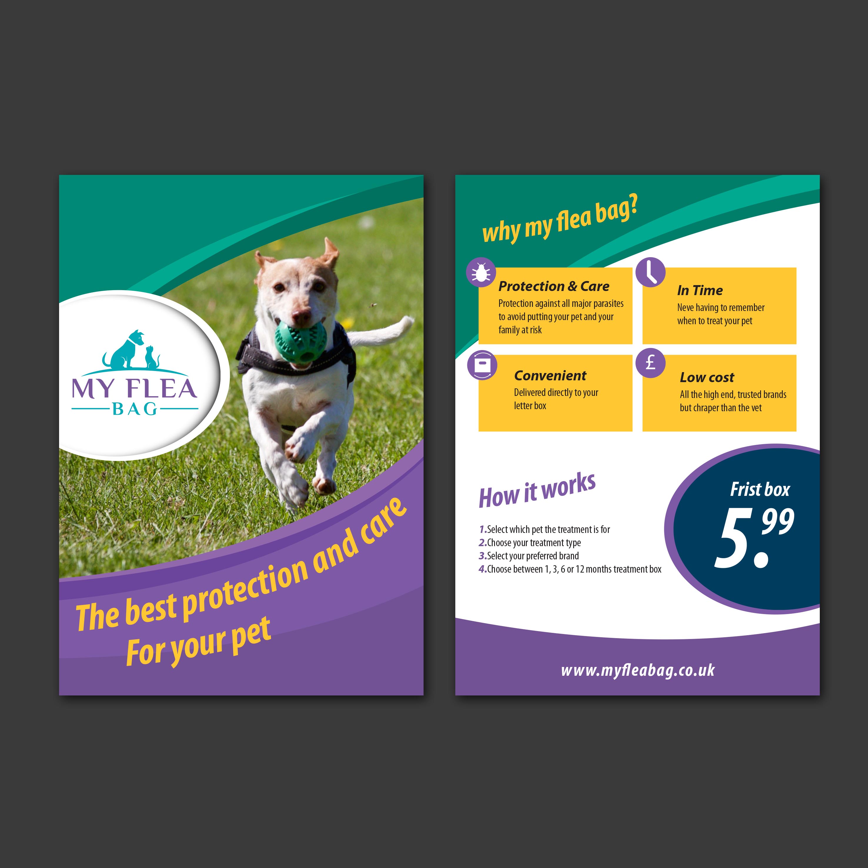 Flyer Design by Ricardo 6 for this project | Design #21839207