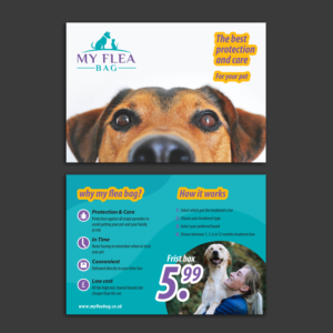 Diseño de Flyer por Ricardo 6 para este proyecto | Diseño: #21839214