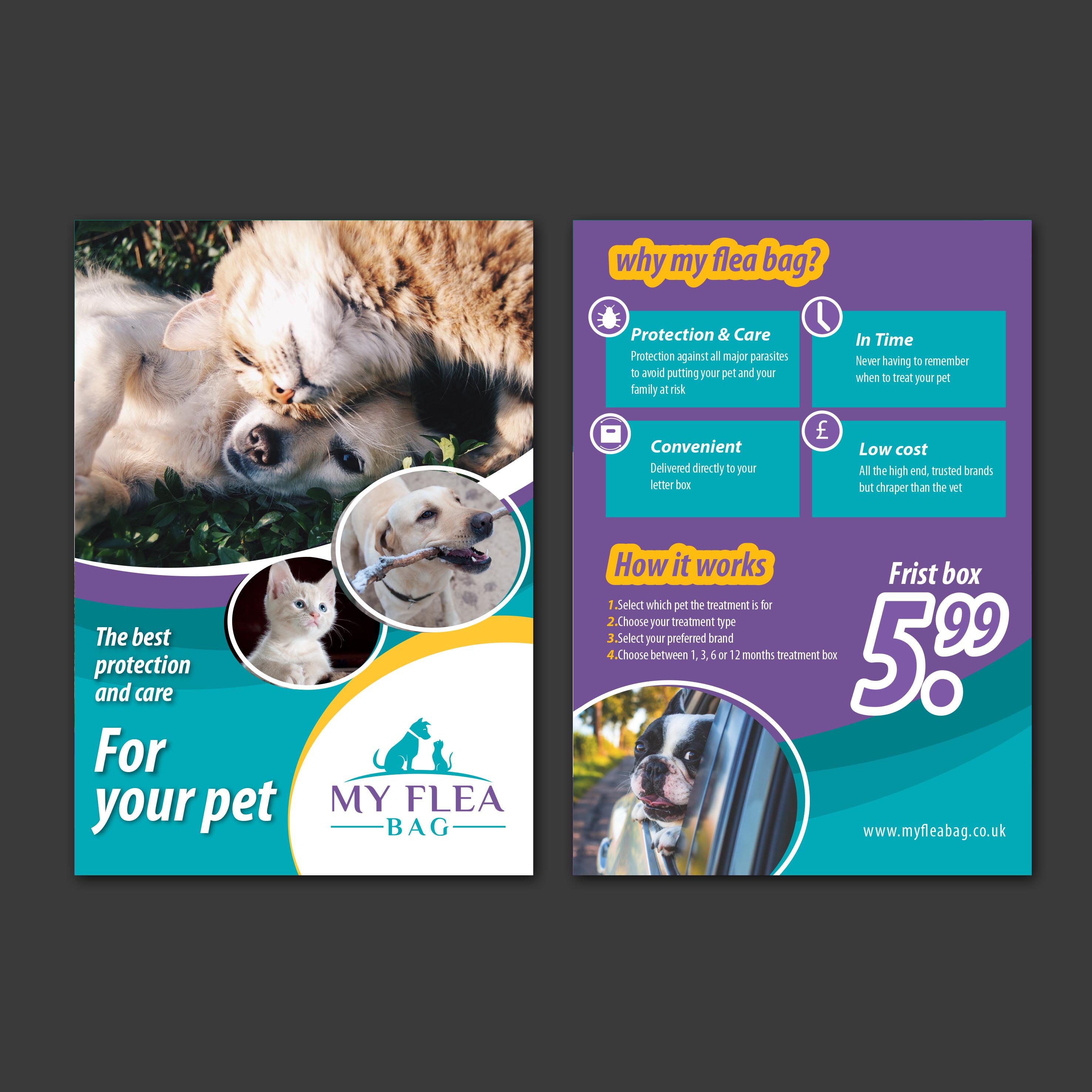 Flyer Design by Ricardo 6 for this project | Design #21839702