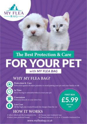 Printed Promo Flyer for new pet business | Diseño de Flyer por henok mulugeta8