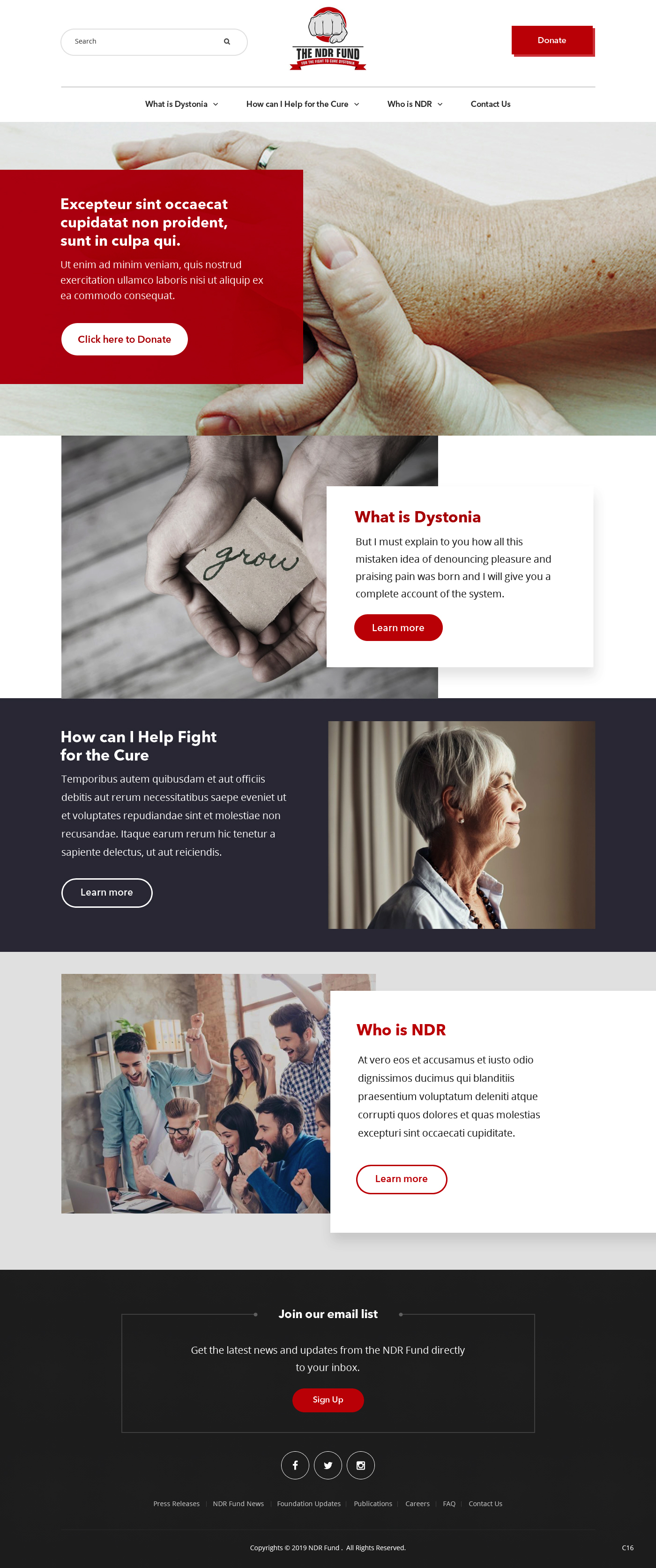 Diseño Web por pb para este proyecto | Diseño #21838138