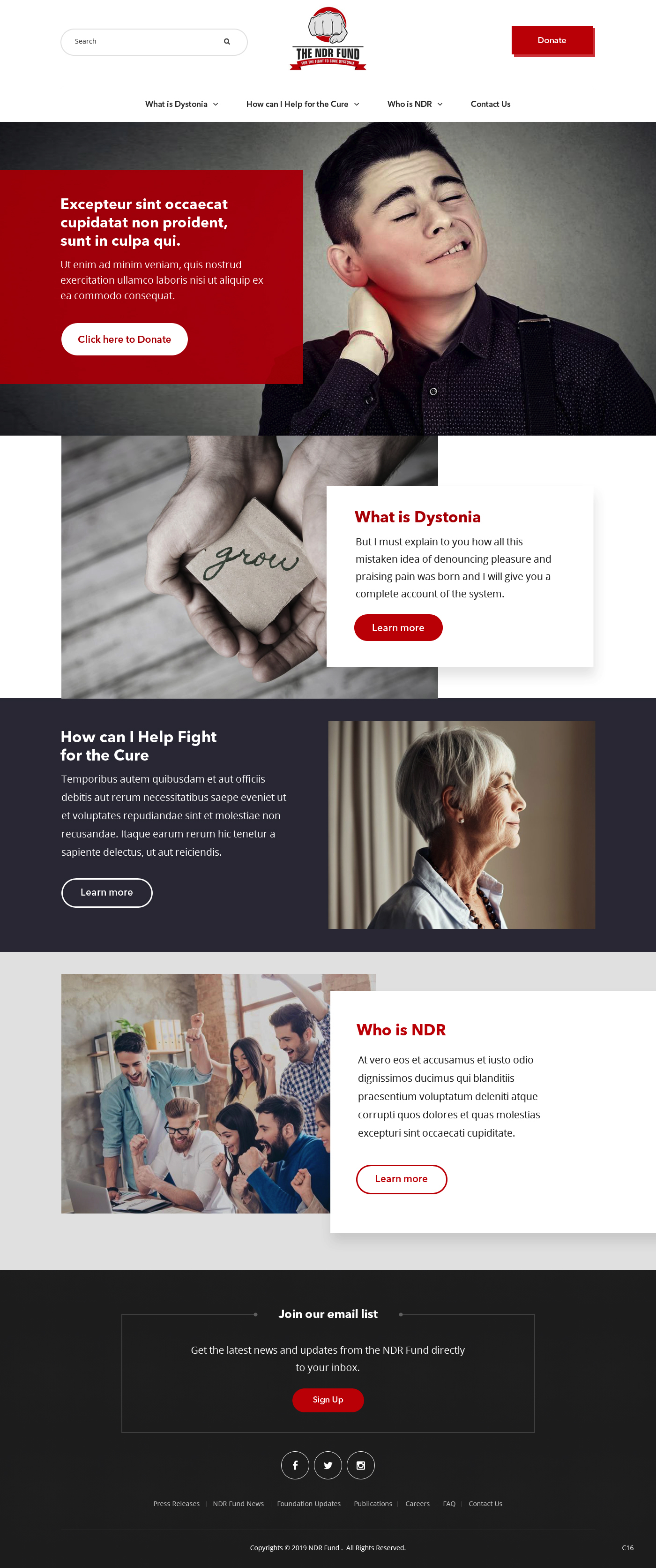 Diseño Web por pb para este proyecto | Diseño #21838139