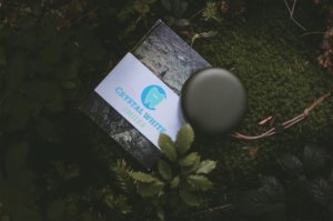 Logo Design by Xola Famar for this project | Design: #21837502