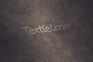 Logo Design by Gabriel Nunes for this project | Design: #21883886
