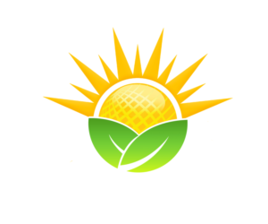 Logo Design by Sravezzz