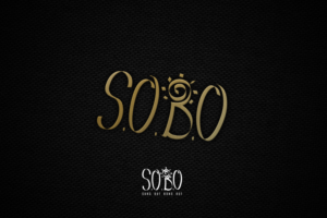 Diseño de Logo por senja para S.O.B.O swimwear  | Diseño: #21876348