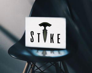 Logo Design by The Line Desings