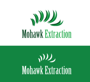 Mohawk Extraction | Logo Design by Elizaveta M