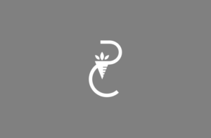 Logo Design by GLDesigns for Chemdefense International | Design: #21847926