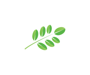 Logo Design by 91.kremena.petrova