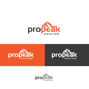 Logo Design by CreativeFlows 2 for Pro Peak Roofing | Design: #21856557