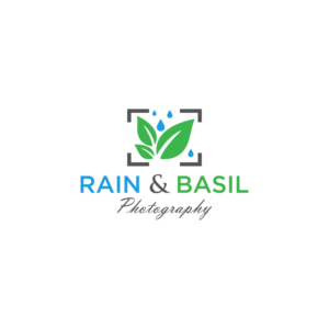 Logo Design by Costea Dan