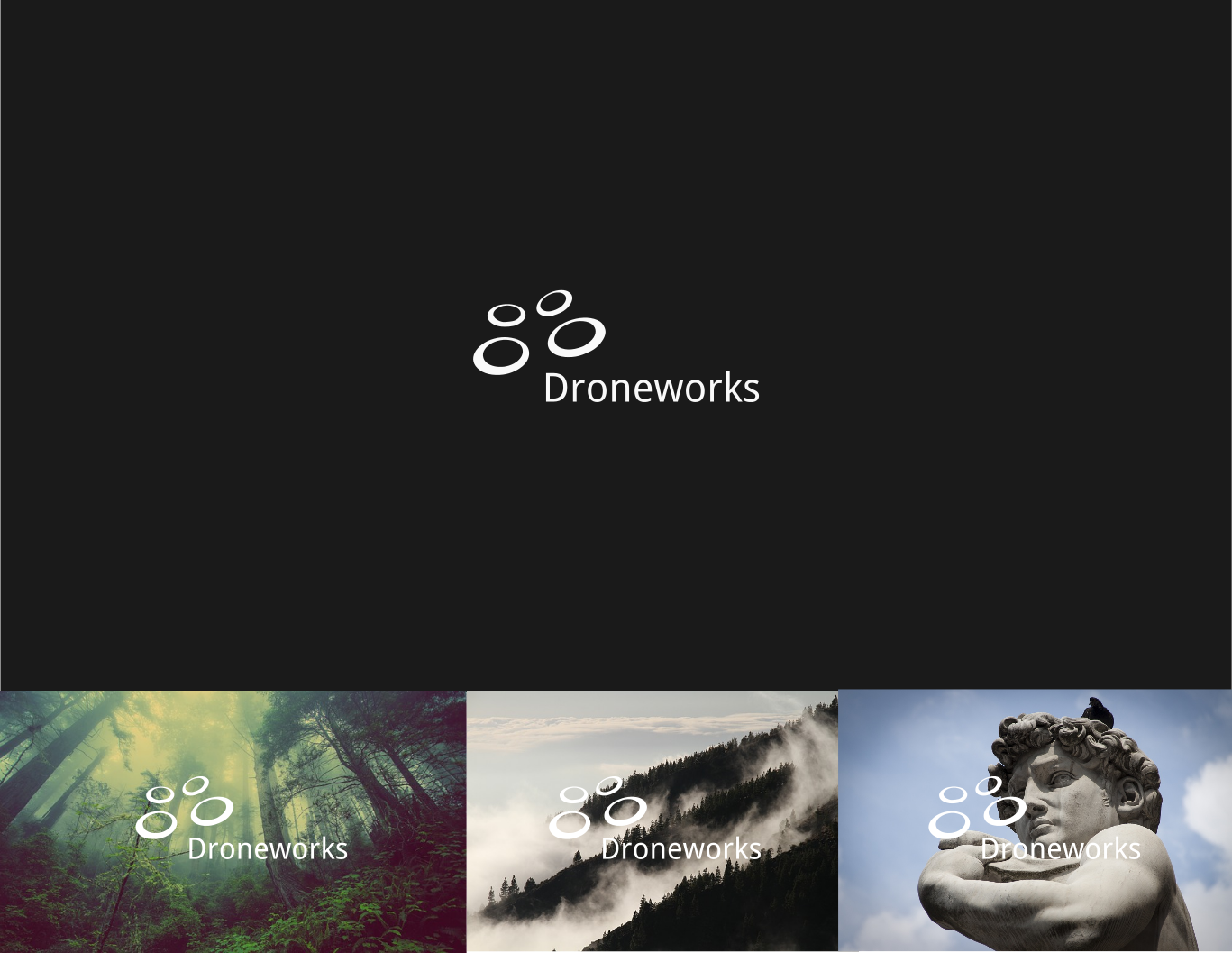 Design de Logo par AVASHE pour Drone Works | Design #21866749