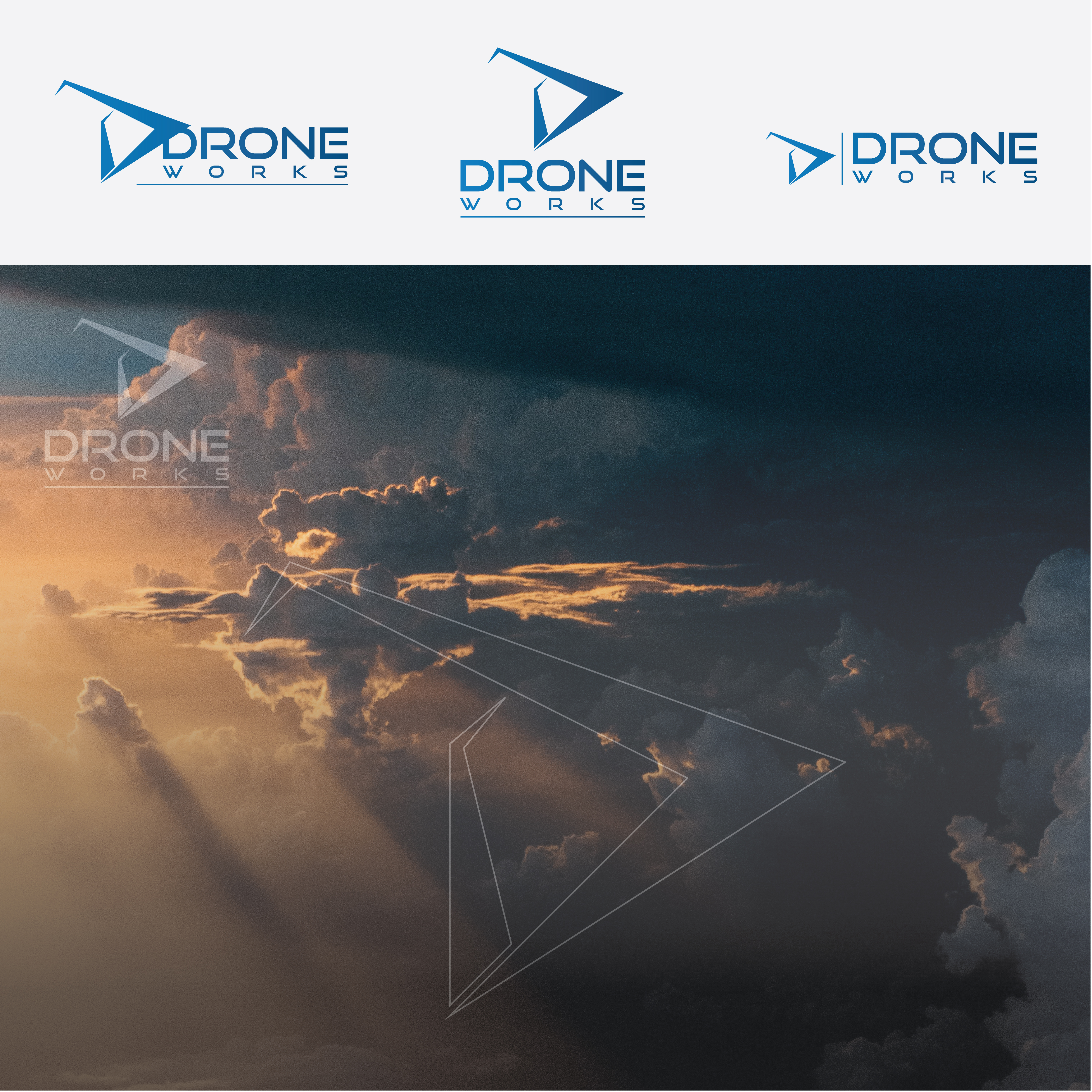Logo-Design von Lotivegraphics für Drone Works | Design #21885034