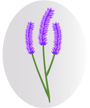 Logo Design by Beloved