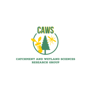Logo Design by Dream Canvas